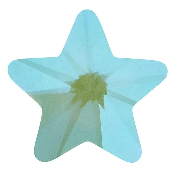 Bling! 2816 Star Flat Back Forest MI 6mm